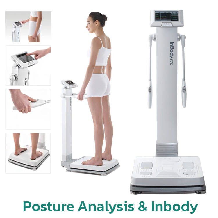 Posture Analysis & Inbody